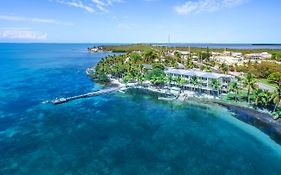 Lime Tree Bay Resort Islamorada Fl 3*